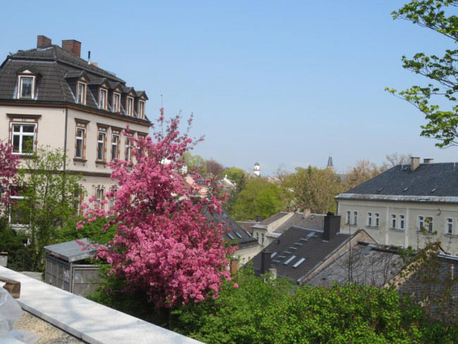Aussicht vom Lorenzpark in Richtung Rathaus