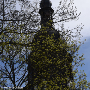 Kirchturm der Lorenzkirche hinter einem Baum